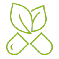 7-In-1 Natural Super Greens